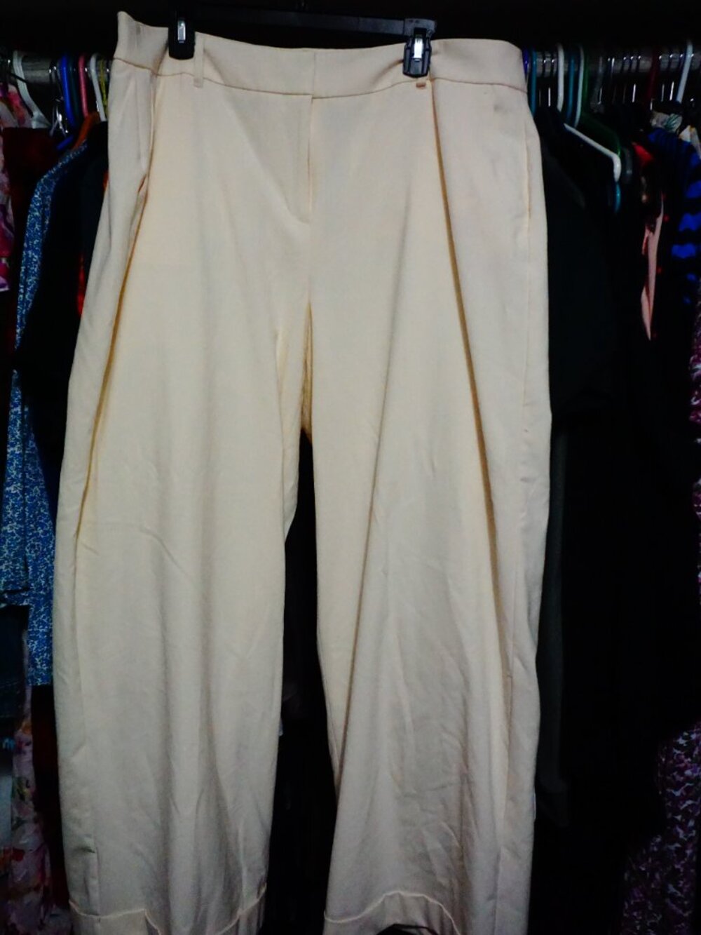 Lane Bryant Women’s Size 20 Regular Pleated Front Trousers – Cream
